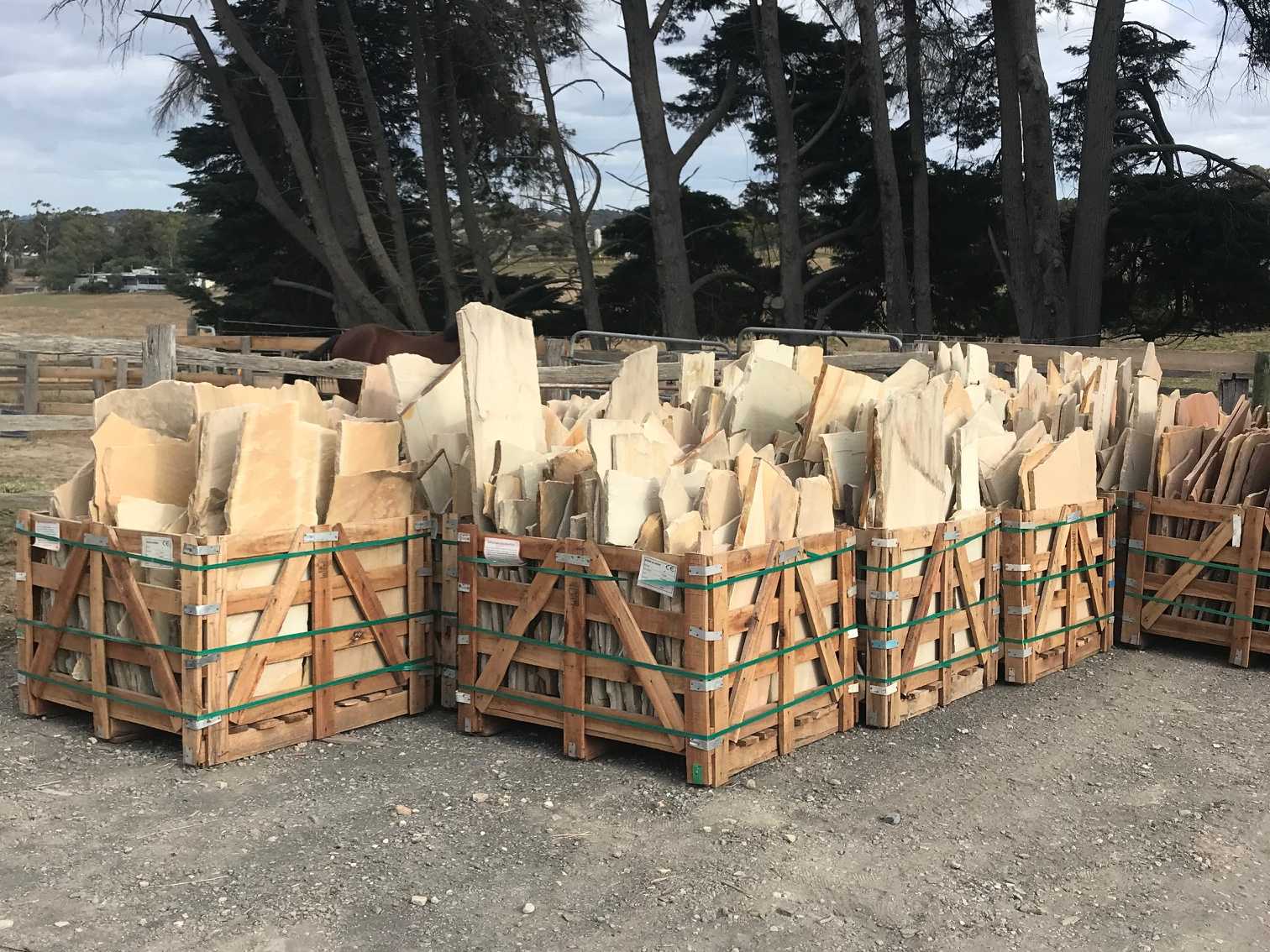 Crazy Sahara Sandstone